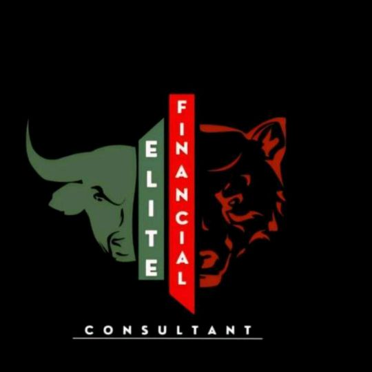 Elite Financials/Forex academy