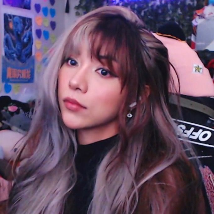 VOID | TWITCH PARTNER