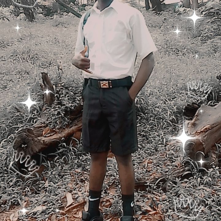 mswaray910@gmail.com